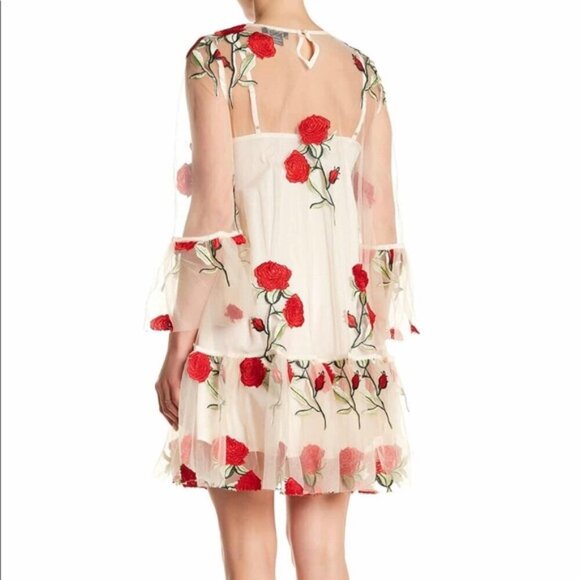 Gracia rose embroidered sheer mesh dress sz Small, no slip, new. - Picture 2 of 5